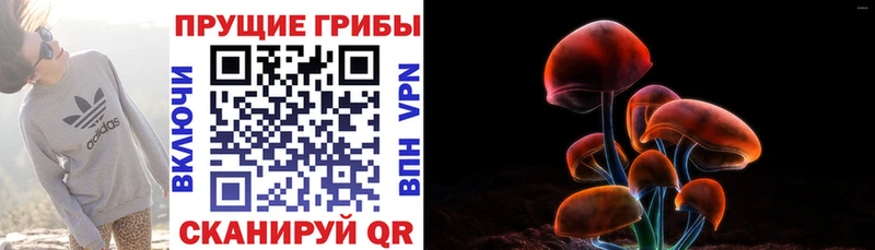 Псилоцибиновые грибы Magic Shrooms  omg сайт  Гаврилов Посад  купить  сайты 