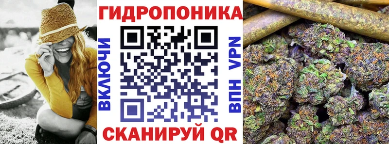 Каннабис план Гаврилов Посад